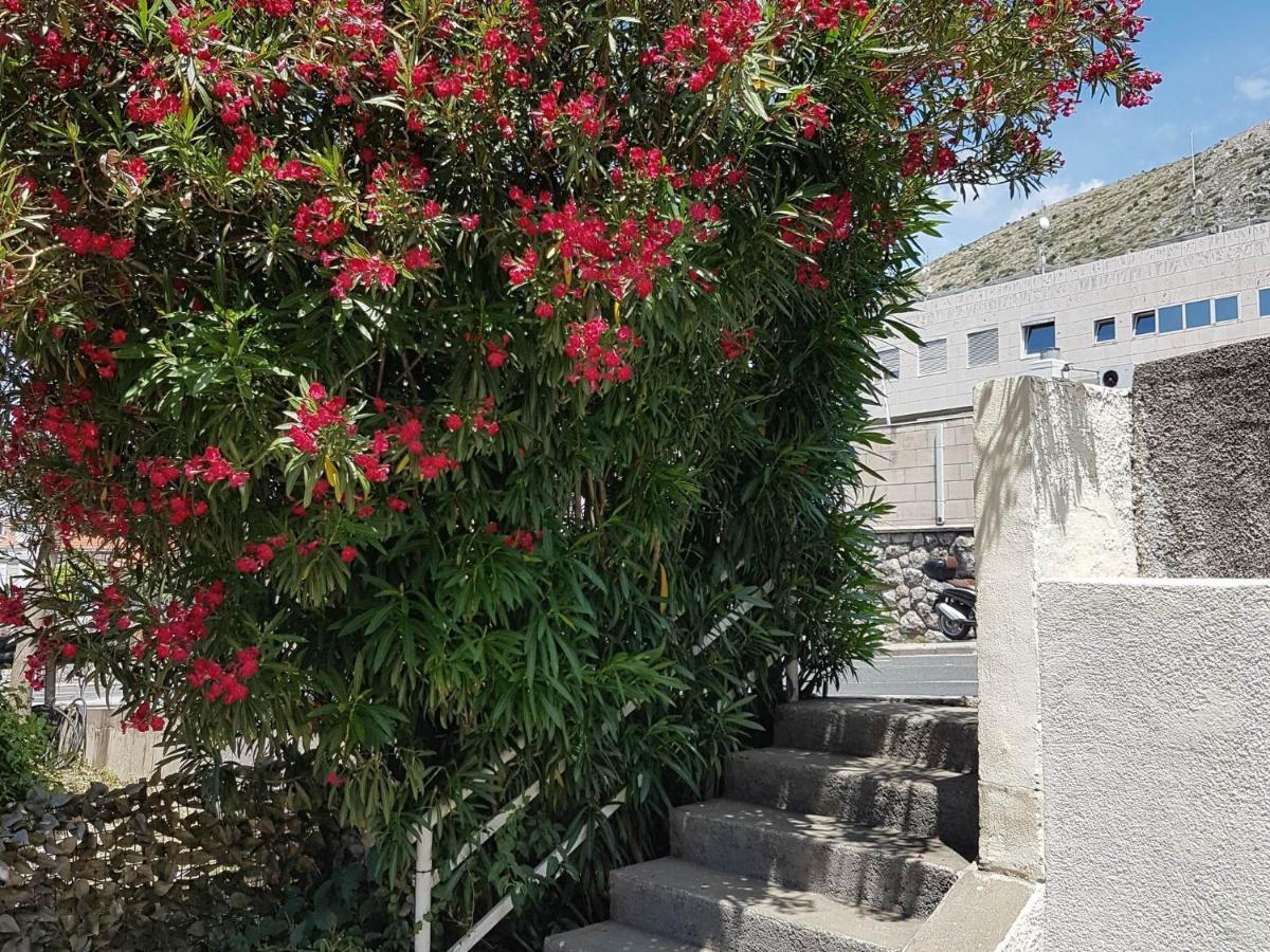 Studios Im Dubrovnik Exterior photo